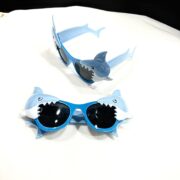 z4857974469988_5fcc1ae86bc8d1c43be5e7fd71f5d218