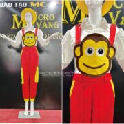 z4862188268687_b56705413b0518a7f479a5b706ca2bed z4862188268687_b56705413b0518a7f479a5b706ca2bed